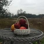 Chamedafne W Puszczy Kampinoskiej 4*