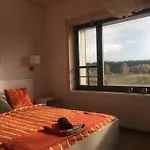 Chamedafne W Puszczy Kampinoskiej