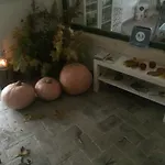 Chamedafne W Puszczy Kampinoskiej Bed & Breakfast