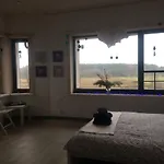 Chamedafne W Puszczy Kampinoskiej Brochów