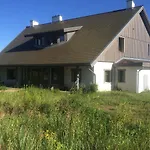 Chamedafne W Puszczy Kampinoskiej Brochów