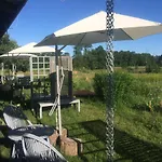 Chamedafne W Puszczy Kampinoskiej Brochów
