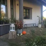 Chamedafne W Puszczy Kampinoskiej