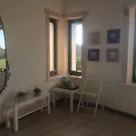 Chamedafne W Puszczy Kampinoskiej