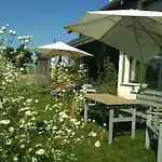 Chamedafne W Puszczy Kampinoskiej Brochów