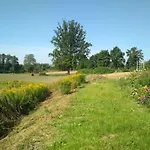 Chamedafne W Puszczy Kampinoskiej 4* Brochów