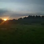 Chamedafne W Puszczy Kampinoskiej Brochów