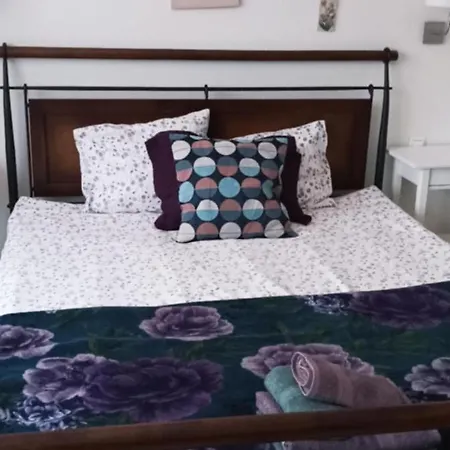 Chamedafne W Puszczy Kampinoskiej Bed & Breakfast