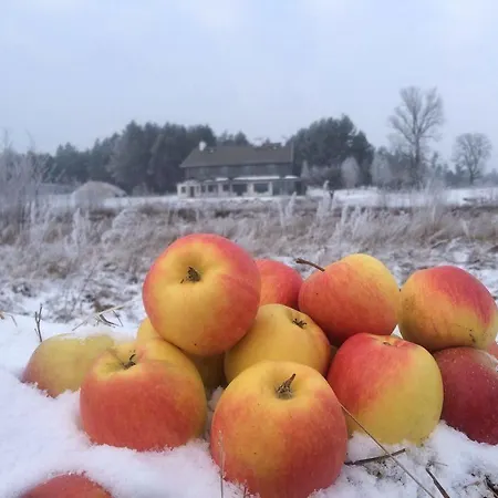 Chamedafne W Puszczy Kampinoskiej 4*