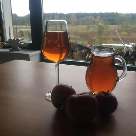 Chamedafne W Puszczy Kampinoskiej * Brochow
