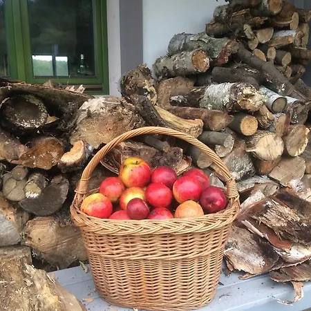 Chamedafne W Puszczy Kampinoskiej Frühstückspension 4*