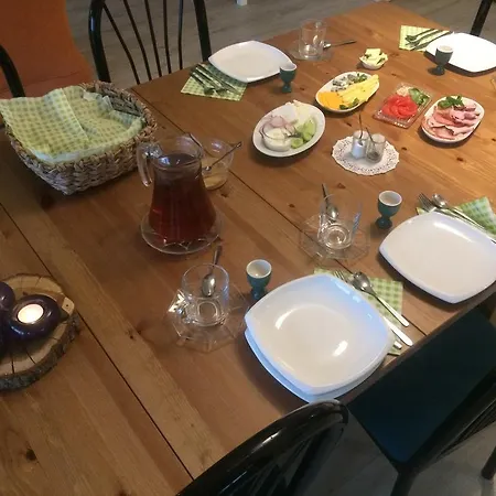 Frühstückspension Chamedafne W Puszczy Kampinoskiej Brochów