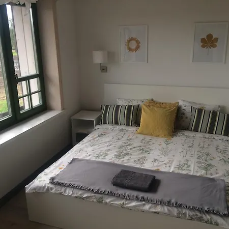 Chamedafne W Puszczy Kampinoskiej