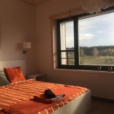 Chamedafne W Puszczy Kampinoskiej