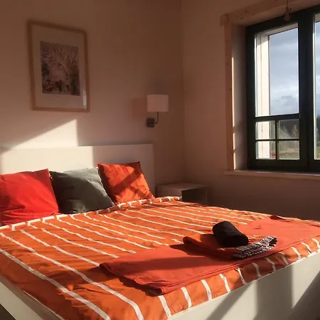 Chamedafne W Puszczy Kampinoskiej * Brochów