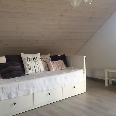 Chamedafne W Puszczy Kampinoskiej 4*