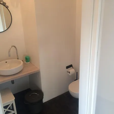 Chamedafne W Puszczy Kampinoskiej