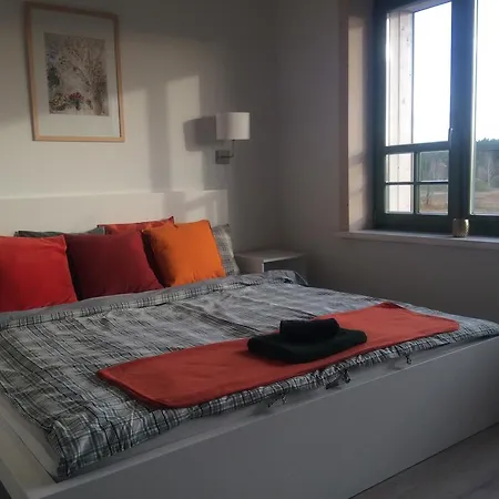 Chamedafne W Puszczy Kampinoskiej Brochów