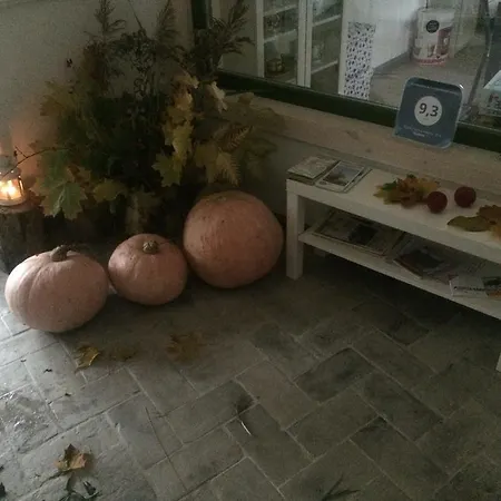 Chamedafne W Puszczy Kampinoskiej Frühstückspension