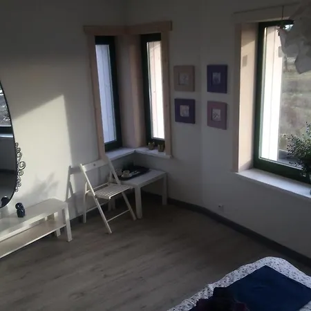 Chamedafne W Puszczy Kampinoskiej