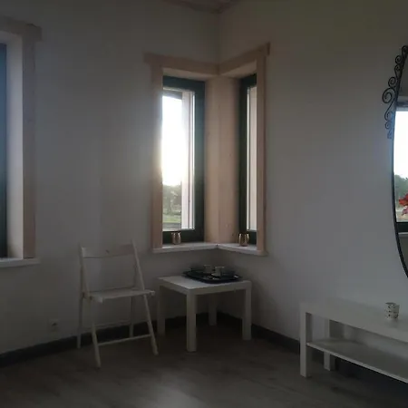 Chamedafne W Puszczy Kampinoskiej *