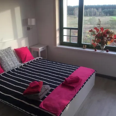 Chamedafne W Puszczy Kampinoskiej Brochów