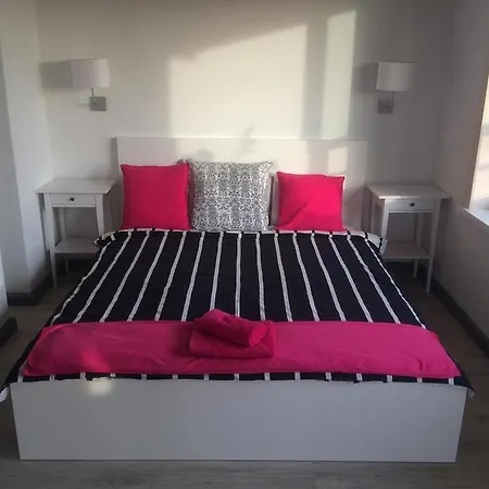 Chamedafne W Puszczy Kampinoskiej Brochów