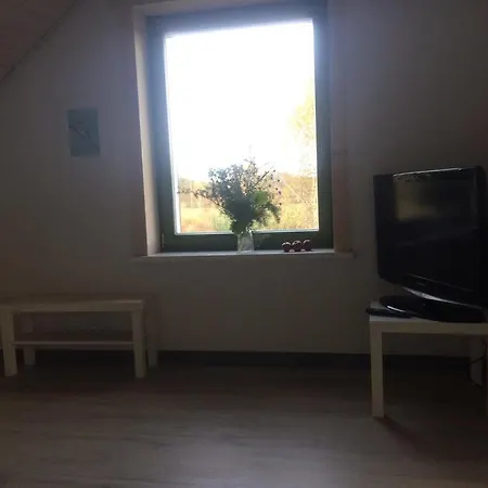 Chamedafne W Puszczy Kampinoskiej B&B Brochów