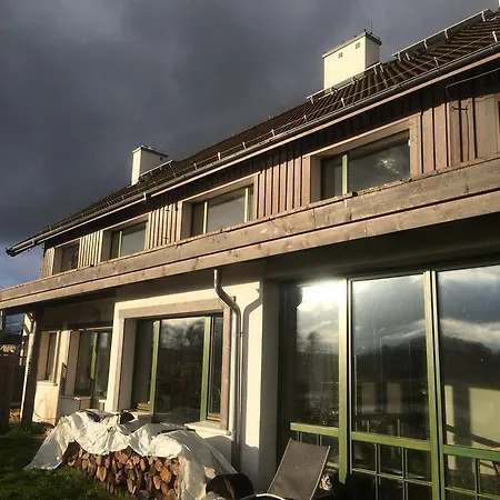 Chamedafne W Puszczy Kampinoskiej Brochów