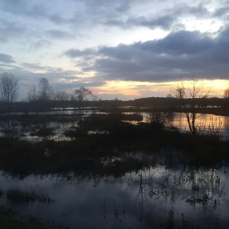 Frühstückspension Chamedafne W Puszczy Kampinoskiej Brochów