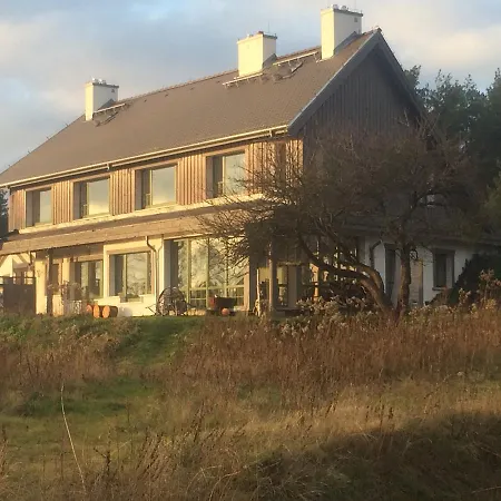 Chamedafne W Puszczy Kampinoskiej *