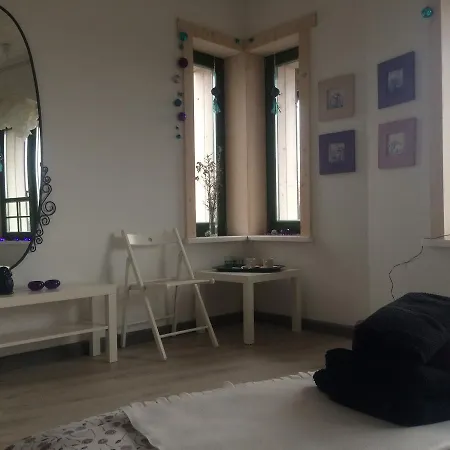 Chamedafne W Puszczy Kampinoskiej