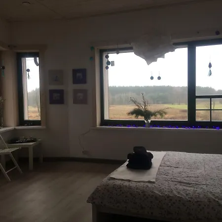 Chamedafne W Puszczy Kampinoskiej Brochów