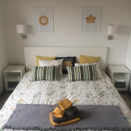 Chamedafne W Puszczy Kampinoskiej 4*