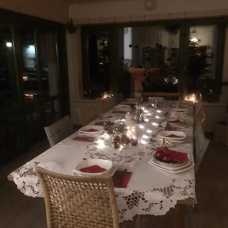 Chamedafne W Puszczy Kampinoskiej Brochów