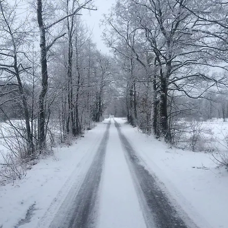 Chamedafne W Puszczy Kampinoskiej Frühstückspension