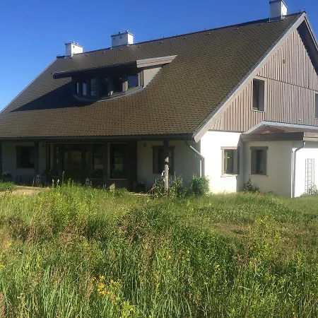 Chamedafne W Puszczy Kampinoskiej Brochów