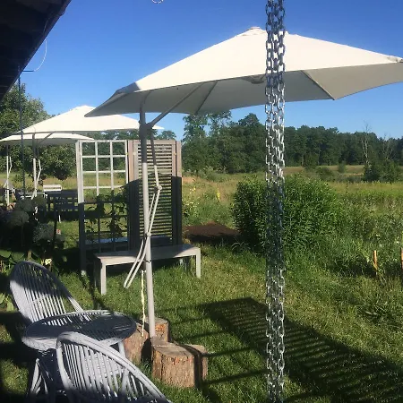 Chamedafne W Puszczy Kampinoskiej Brochów