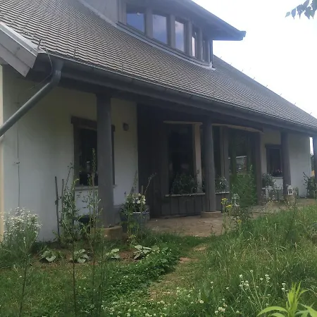 Chamedafne W Puszczy Kampinoskiej B&B *