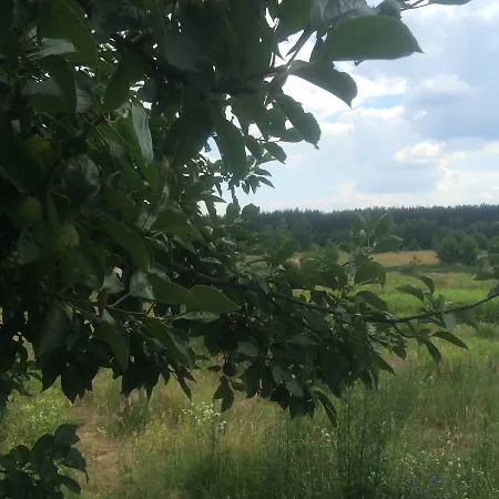 Frühstückspension Chamedafne W Puszczy Kampinoskiej 4*