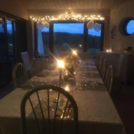 Chamedafne W Puszczy Kampinoskiej