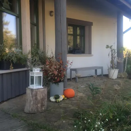 Chamedafne W Puszczy Kampinoskiej