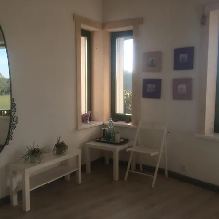 Chamedafne W Puszczy Kampinoskiej