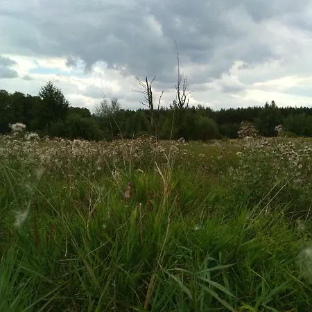 Frühstückspension Chamedafne W Puszczy Kampinoskiej 4*