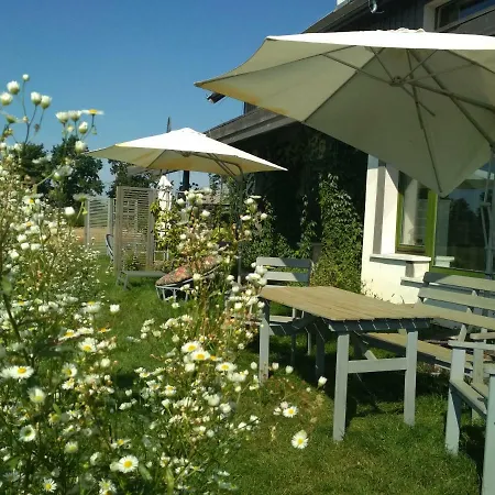 Chamedafne W Puszczy Kampinoskiej Brochów