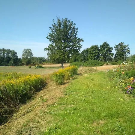 Chamedafne W Puszczy Kampinoskiej 4* Brochów