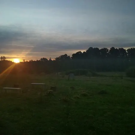 Chamedafne W Puszczy Kampinoskiej Brochów